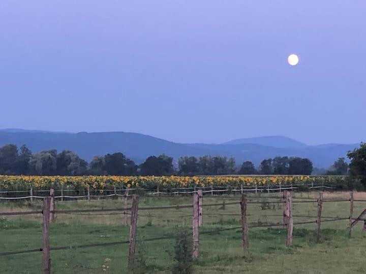 Апартаменты Studio En Auvergne Le Ruisseau Сен-Прьест-Брамефан Экстерьер фото