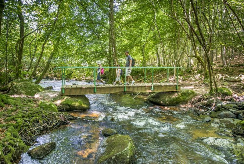 Апартаменты Studio En Auvergne Le Ruisseau Сен-Прьест-Брамефан Экстерьер фото