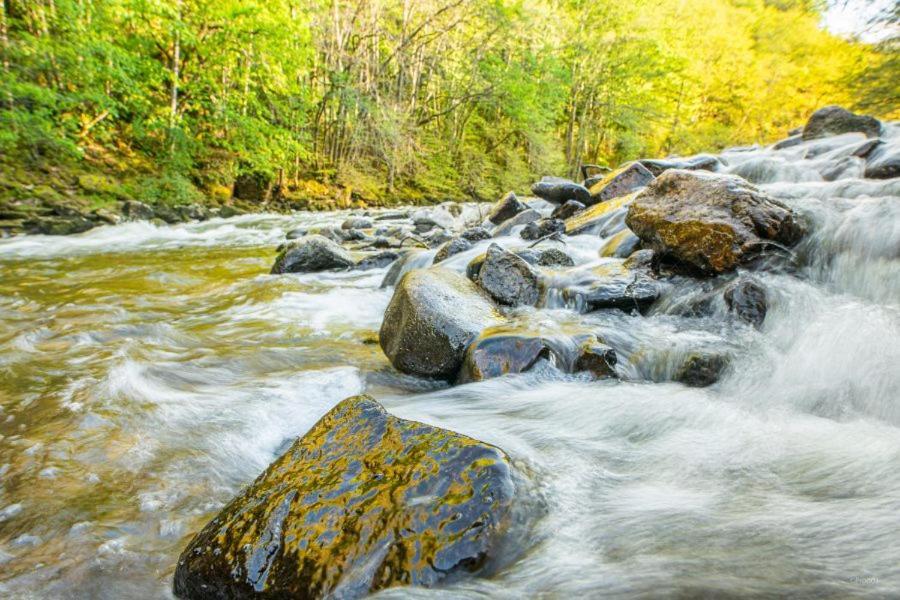 Апартаменты Studio En Auvergne Le Ruisseau Сен-Прьест-Брамефан Экстерьер фото